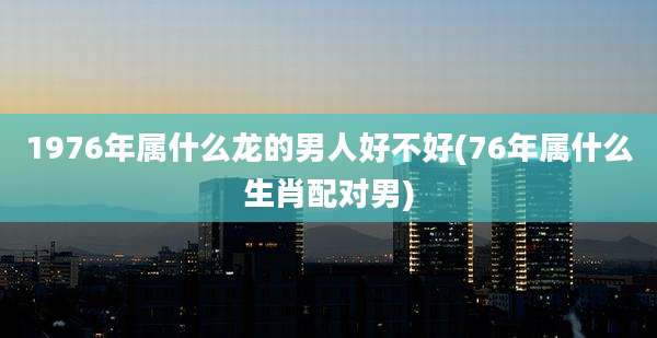 1976年属什么龙的男人好不好(76年属什么生肖配对男)