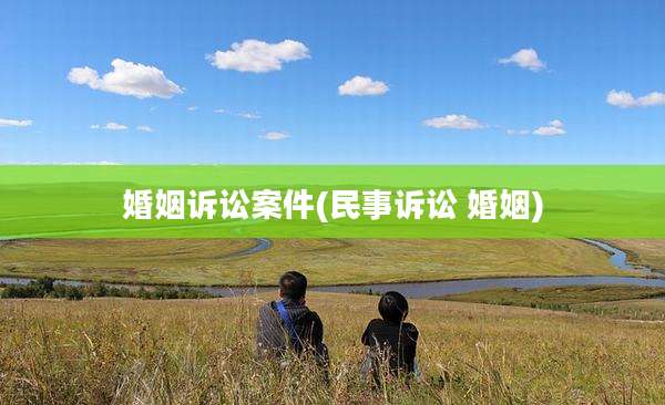 婚姻诉讼案件(民事诉讼 婚姻)