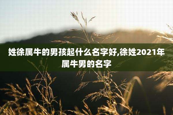 姓徐属牛的男孩起什么名字好,徐姓2021年属牛男的名字