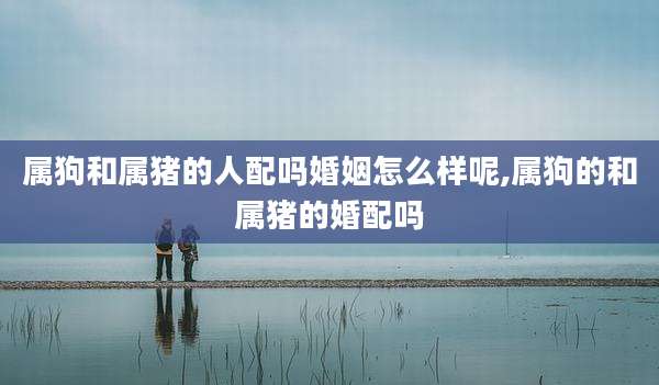 属狗和属猪的人配吗婚姻怎么样呢,属狗的和属猪的婚配吗