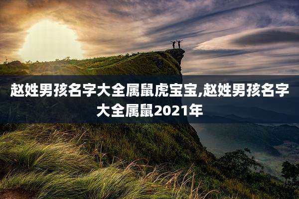 赵姓男孩名字大全属鼠虎宝宝,赵姓男孩名字大全属鼠2021年