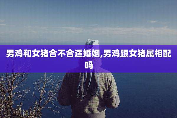 男鸡和女猪合不合适婚姻,男鸡跟女猪属相配吗