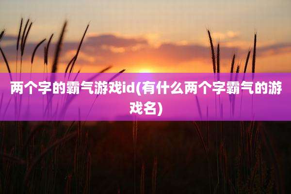 两个字的霸气游戏id(有什么两个字霸气的游戏名)