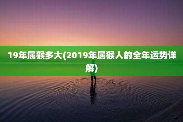 19年属猴多大(2019年属猴人的全年运势详解)