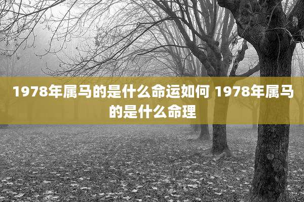 1978年属马的是什么命运如何 1978年属马的是什么命理