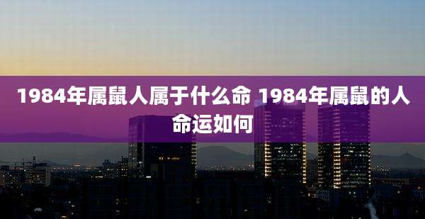 1984年属鼠人属于什么命 1984年属鼠的人命运如何