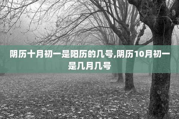 阴历十月初一是阳历的几号,阴历10月初一是几月几号