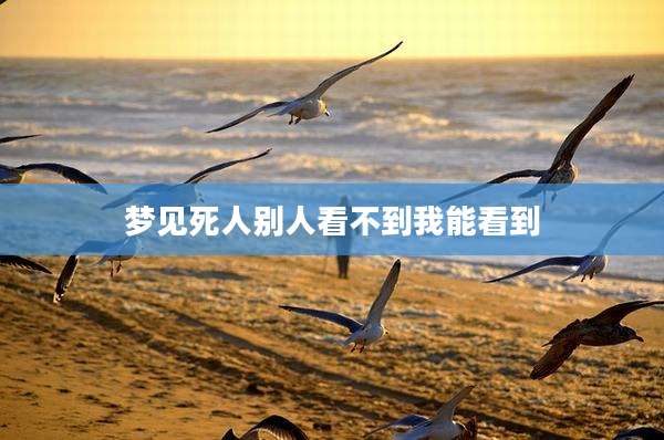 梦见死人别人看不到我能看到