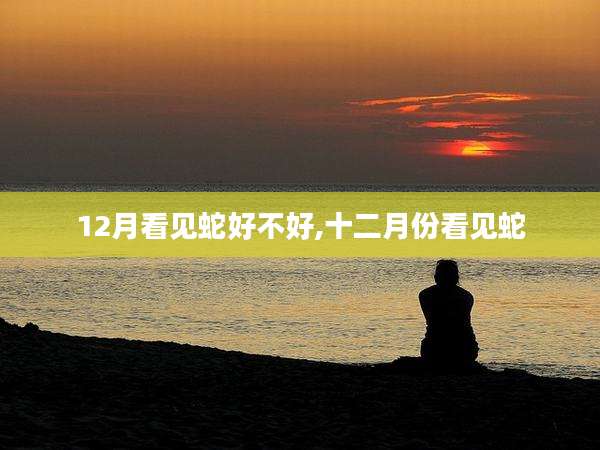 12月看见蛇好不好,十二月份看见蛇