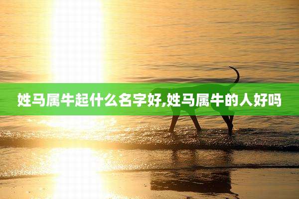 姓马属牛起什么名字好,姓马属牛的人好吗