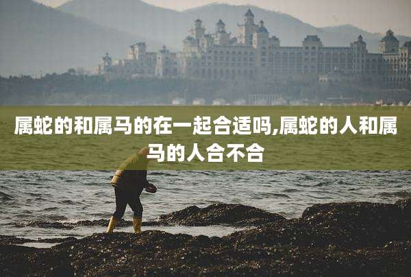 属蛇的和属马的在一起合适吗,属蛇的人和属马的人合不合