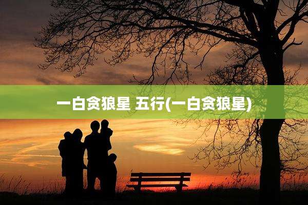 一白贪狼星 五行(一白贪狼星)