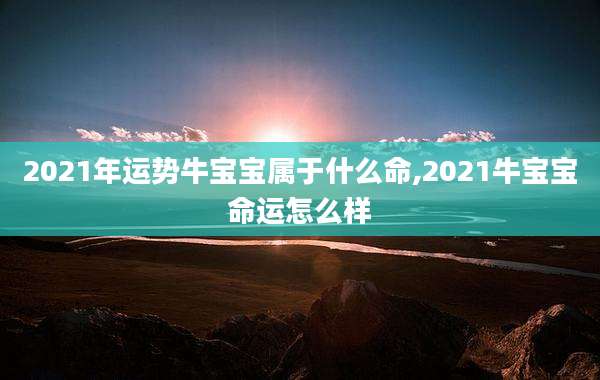 2021年运势牛宝宝属于什么命,2021牛宝宝命运怎么样