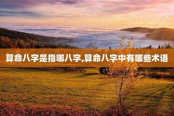 算命八字是指哪八字,算命八字中有哪些术语