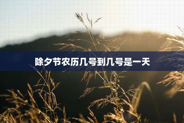 除夕节农历几号到几号是一天