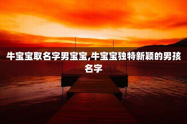 牛宝宝取名字男宝宝,牛宝宝独特新颖的男孩名字
