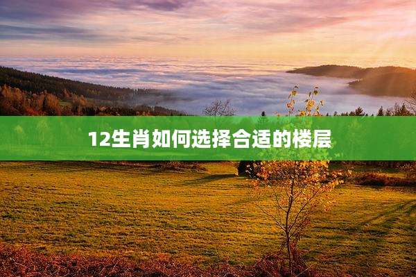 12生肖如何选择合适的楼层