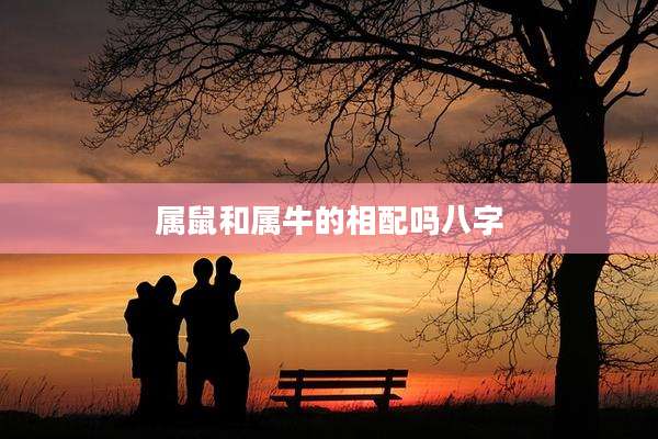 属鼠和属牛的相配吗八字