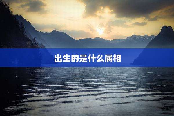 出生的是什么属相