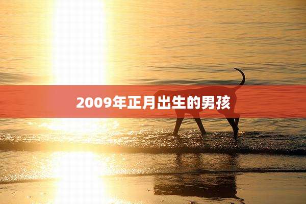 2009年正月出生的男孩