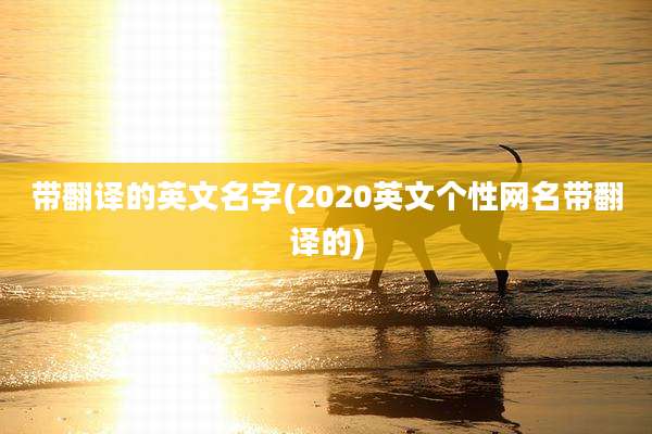 带翻译的英文名字(2020英文个性网名带翻译的)