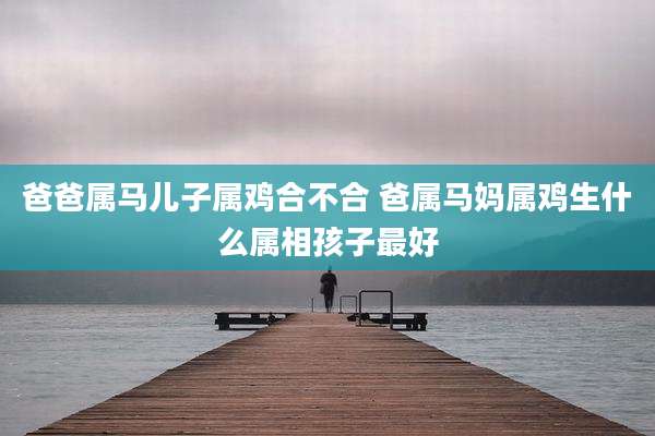 爸爸属马儿子属鸡合不合 爸属马妈属鸡生什么属相孩子最好