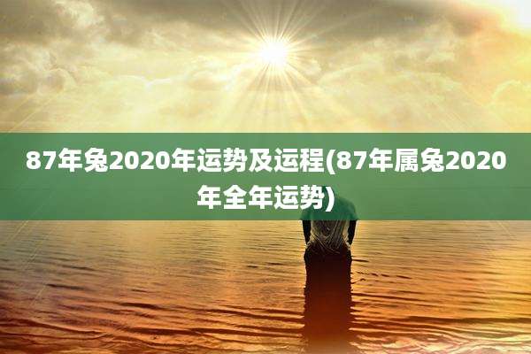 87年兔2020年运势及运程(87年属兔2020年全年运势)