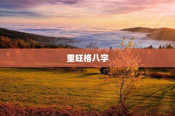 重旺格八字