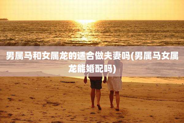 男属马和女属龙的适合做夫妻吗(男属马女属龙能婚配吗)
