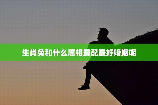 生肖兔和什么属相最配最好婚姻呢
