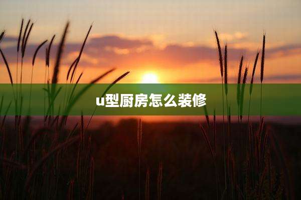 u型厨房怎么装修