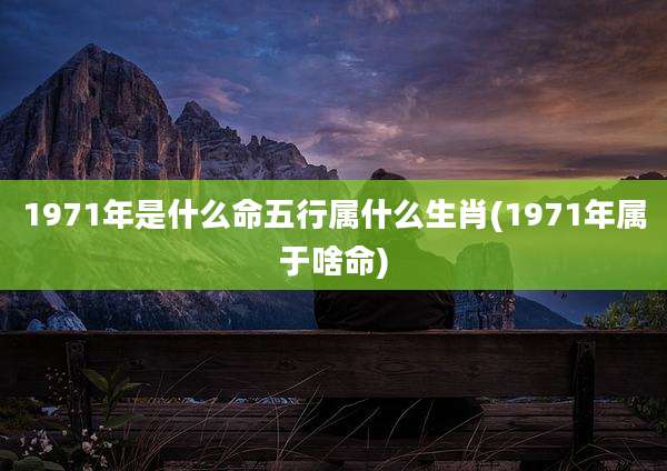 1971年是什么命五行属什么生肖(1971年属于啥命)