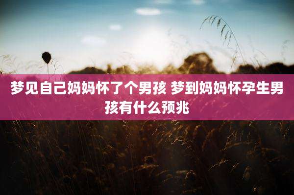 梦见自己妈妈怀了个男孩 梦到妈妈怀孕生男孩有什么预兆