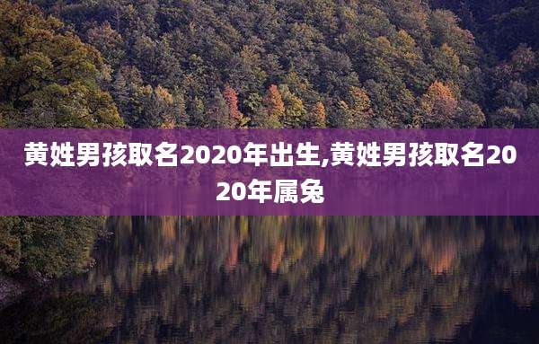 黄姓男孩取名2020年出生,黄姓男孩取名2020年属兔