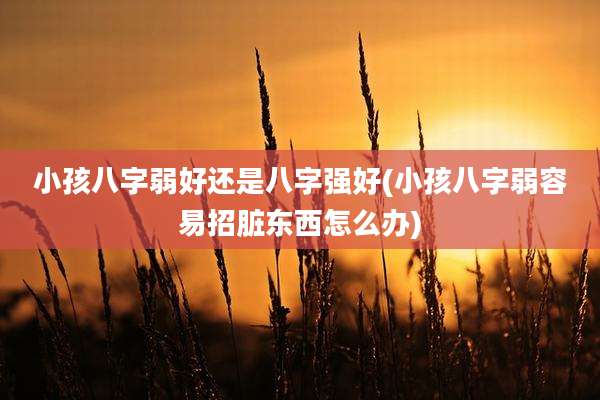 小孩八字弱好还是八字强好(小孩八字弱容易招脏东西怎么办)