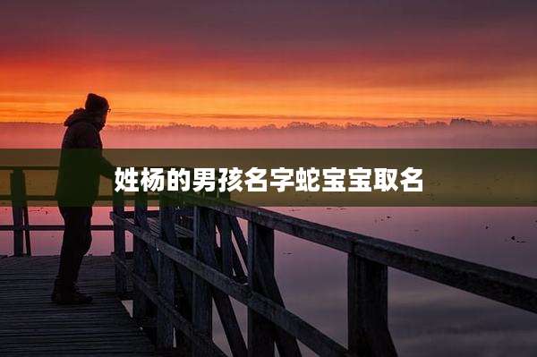 姓杨的男孩名字蛇宝宝取名