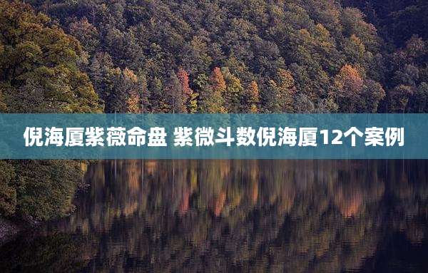 倪海厦紫薇命盘 紫微斗数倪海厦12个案例