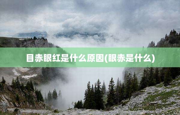 目赤眼红是什么原因(眼赤是什么)
