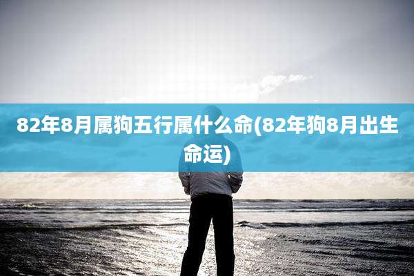 82年8月属狗五行属什么命(82年狗8月出生命运)