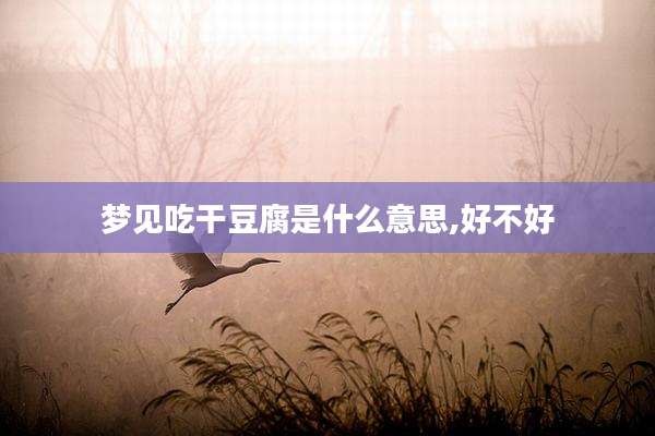 梦见吃干豆腐是什么意思,好不好