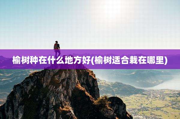 榆树种在什么地方好(榆树适合栽在哪里)