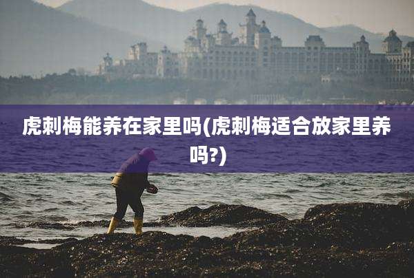 虎刺梅能养在家里吗(虎刺梅适合放家里养吗?)