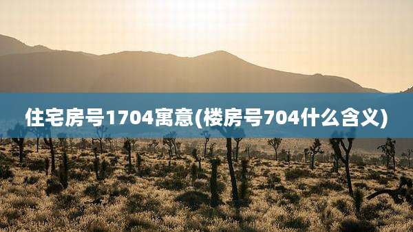 住宅房号1704寓意(楼房号704什么含义)