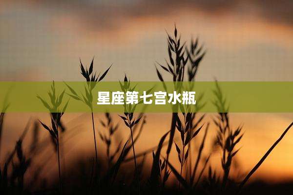 星座第七宫水瓶