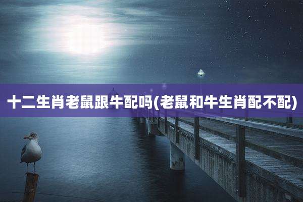 十二生肖老鼠跟牛配吗(老鼠和牛生肖配不配)