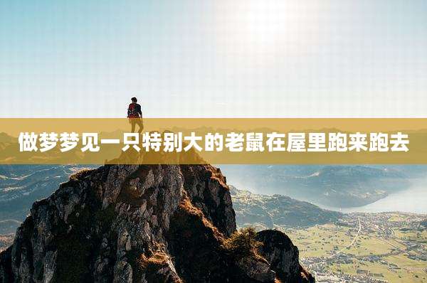 做梦梦见一只特别大的老鼠在屋里跑来跑去