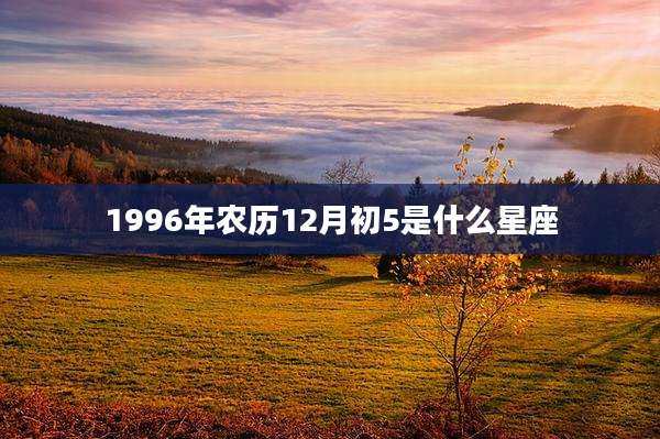 1996年农历12月初5是什么星座
