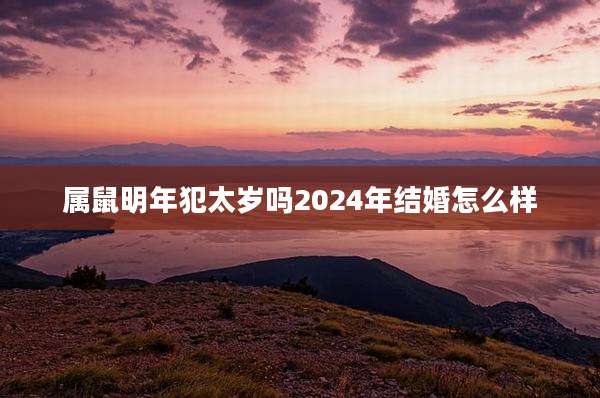 属鼠明年犯太岁吗2024年结婚怎么样