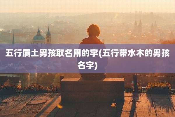 五行属土男孩取名用的字(五行带水木的男孩名字)