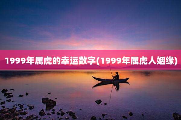 1999年属虎的幸运数字(1999年属虎人姻缘)